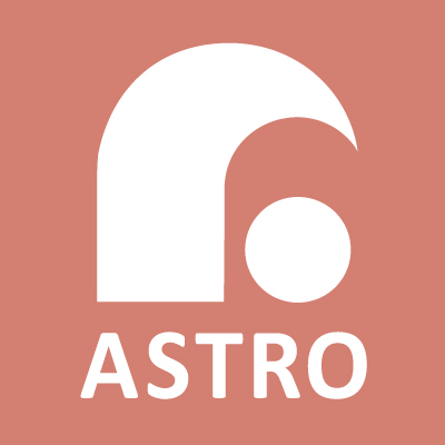 ASTROティッシュカバー　ASTRO枕カバー Amazon.co.jp: ASTRO 株式会社アストロ