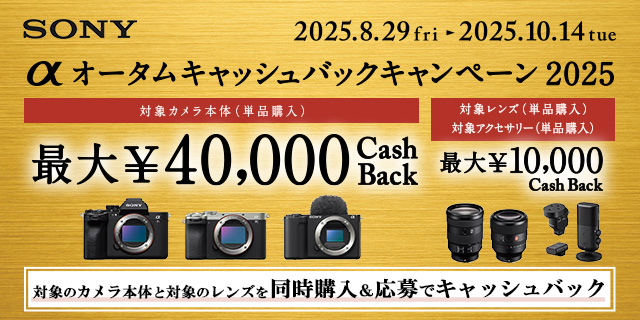 Amazon.co.jp: ソニー