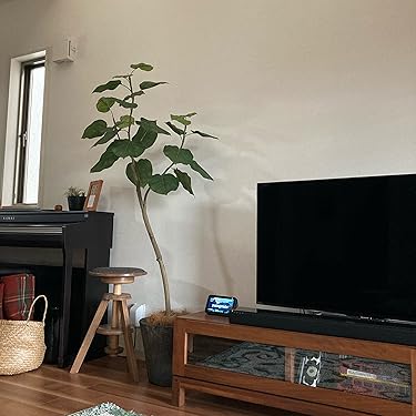 Amazon.co.jp: プレミアム光触媒フェイクグリーン 造花ドットコム