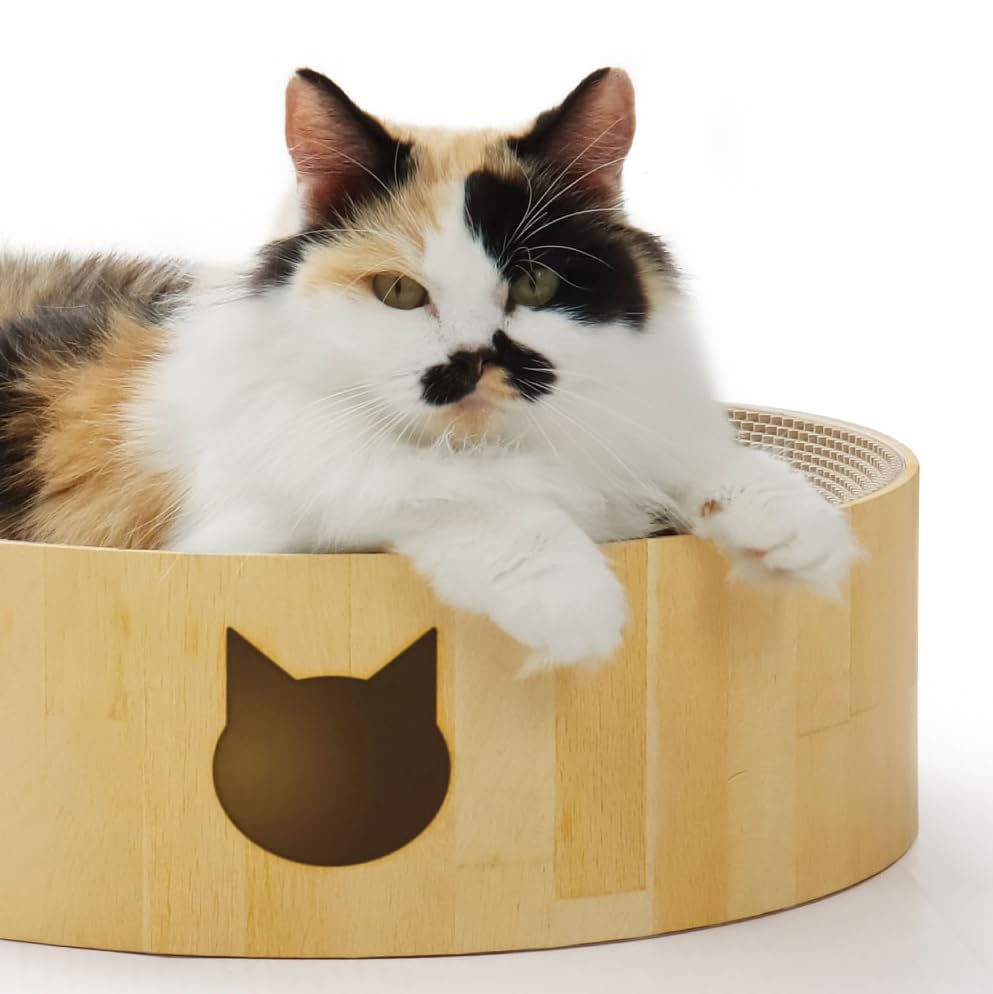 Amazon.co.jp: 猫壱