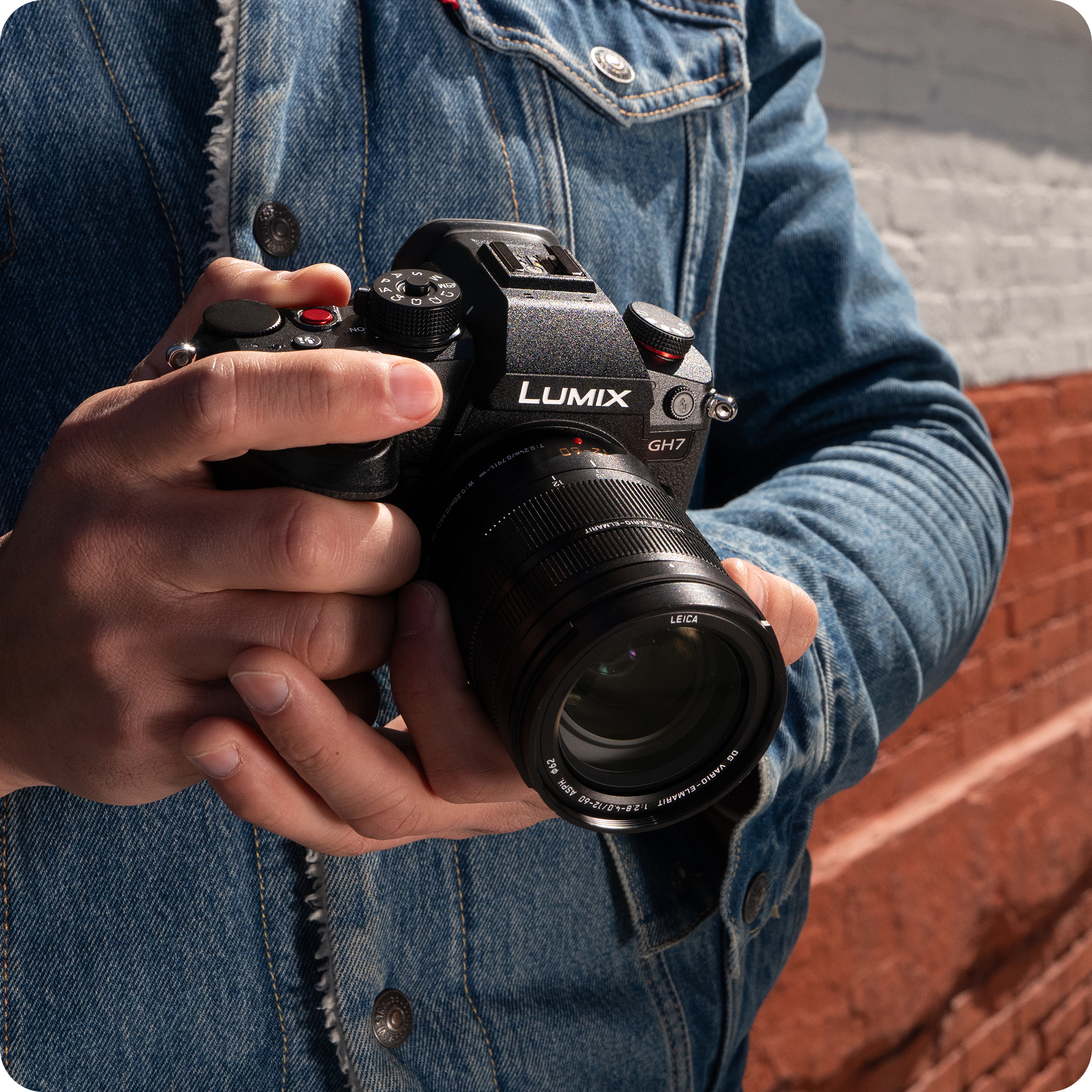Panasonic - HIBARI LUMIX G Series - Mirrorless Micro Four Thirds Cameras