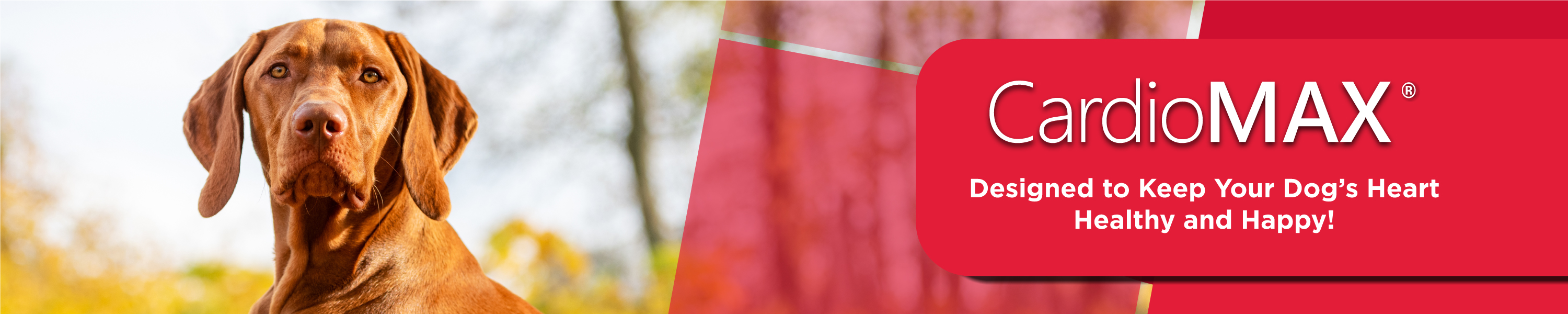 Pet Health Solutions CardioMAX