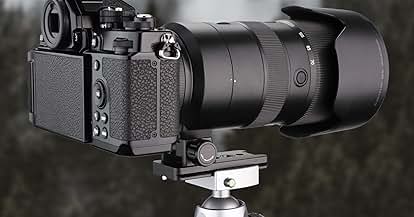 Amazon.com : Used Canon Extender EF 2X II : Camera Lenses