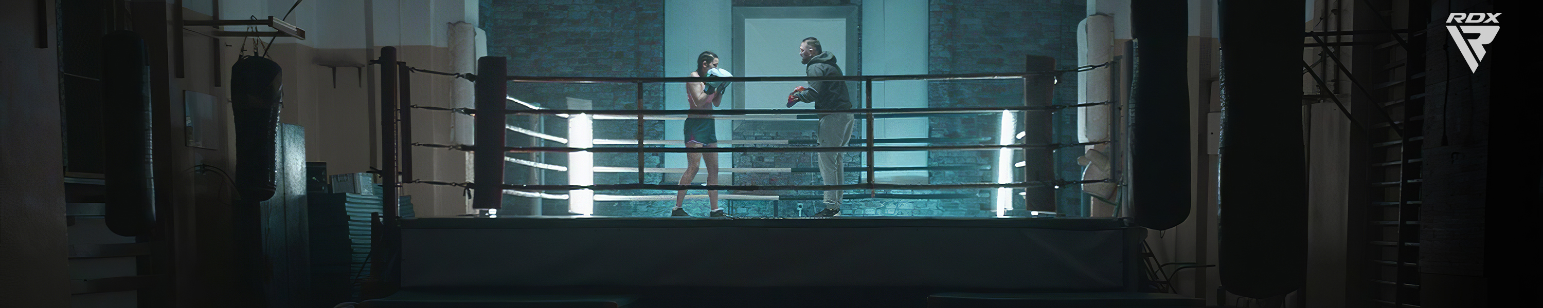 Amazon.ca RDX FREE STANDING PUNCH BAG