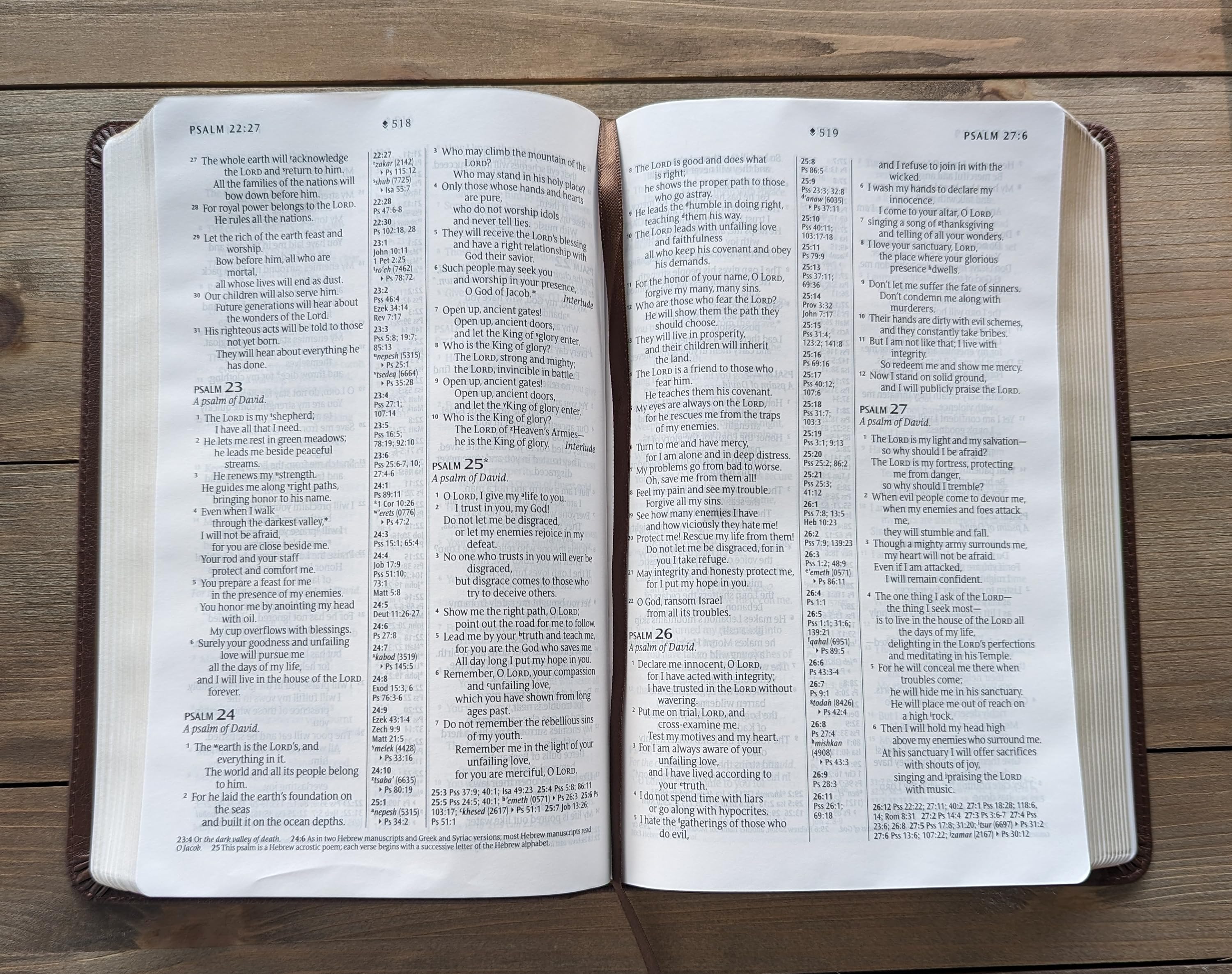 NLT Bibles CenterColumn Reference