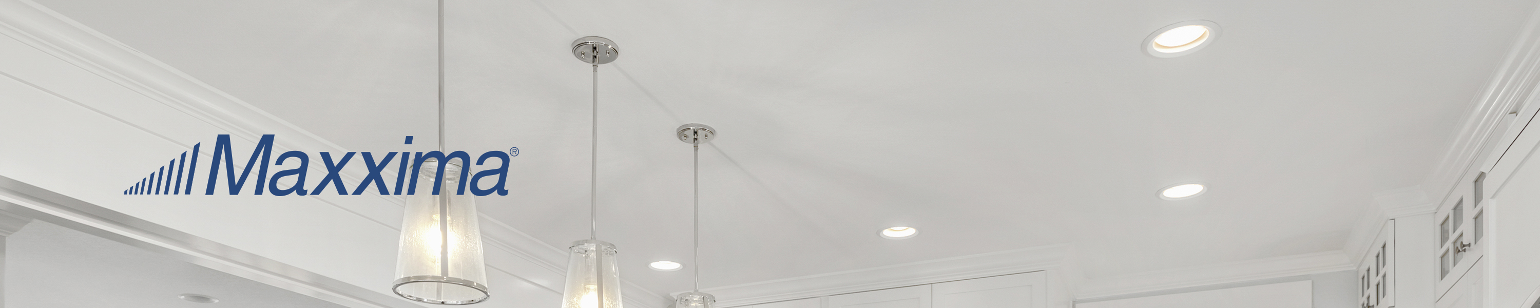 Amazon.com: Maxxima LED Lighting: LED BR & PAR