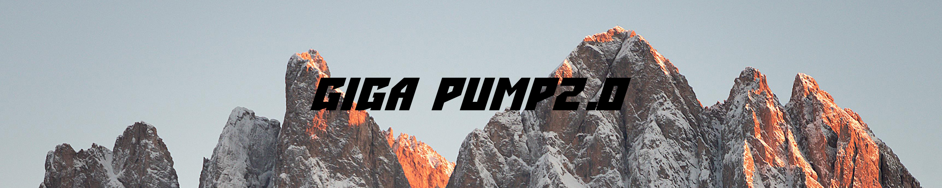 Amazon.com: GIGA PUMP : GIGA PUMP 2