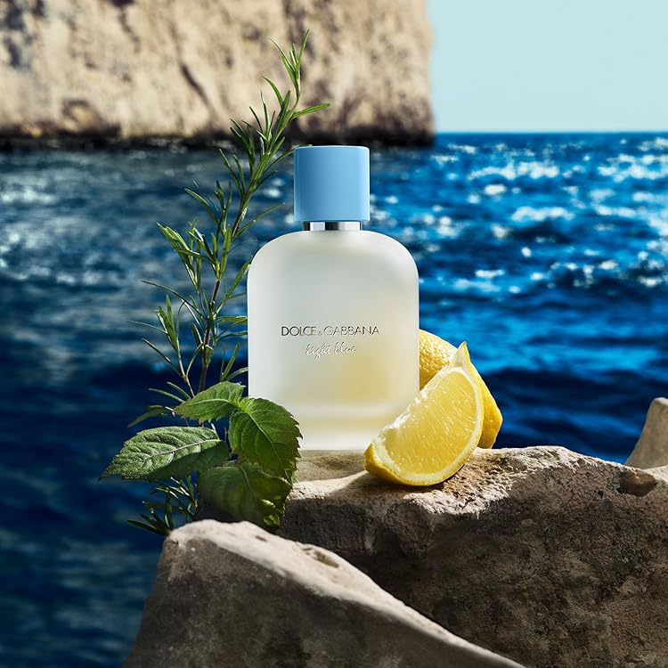 Amazon.com: Dolce and Gabbana: Light Blue