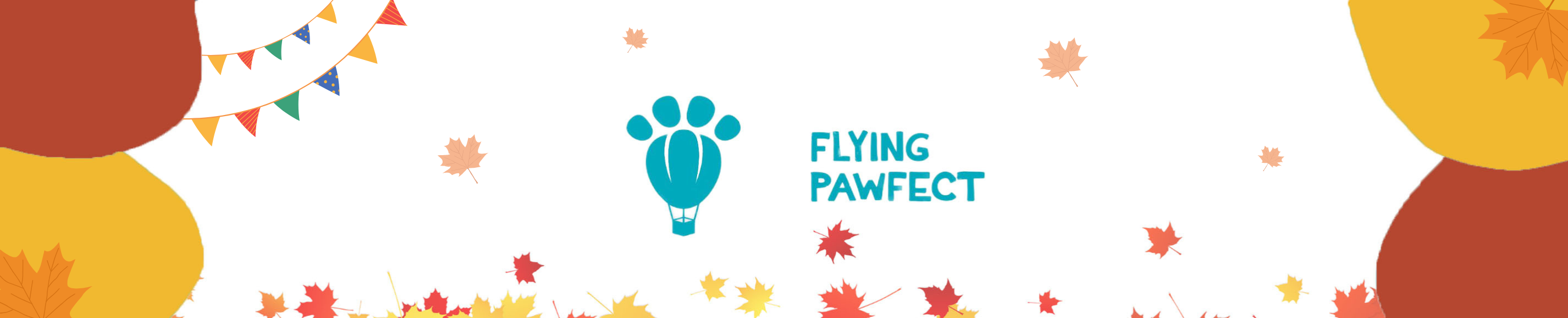 Flying Pawfect