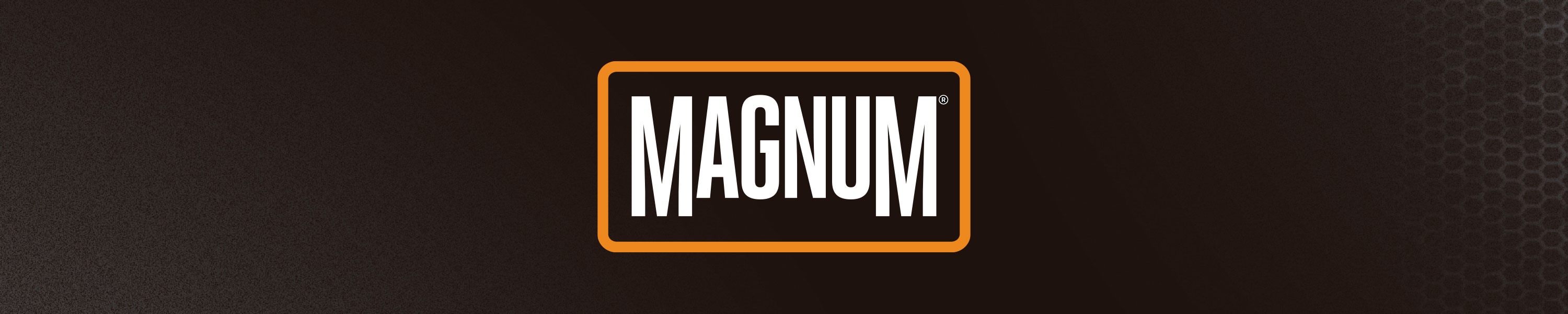 Amazon.com: MAGNUM BOOTS: Work Shoes