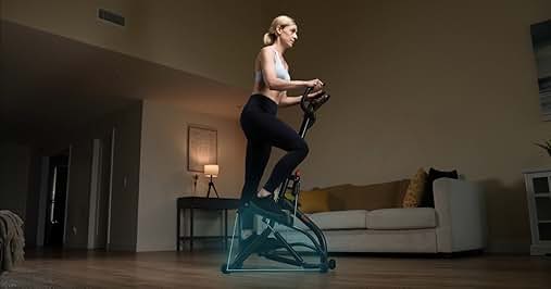 Amazon.com: Stair Stepper