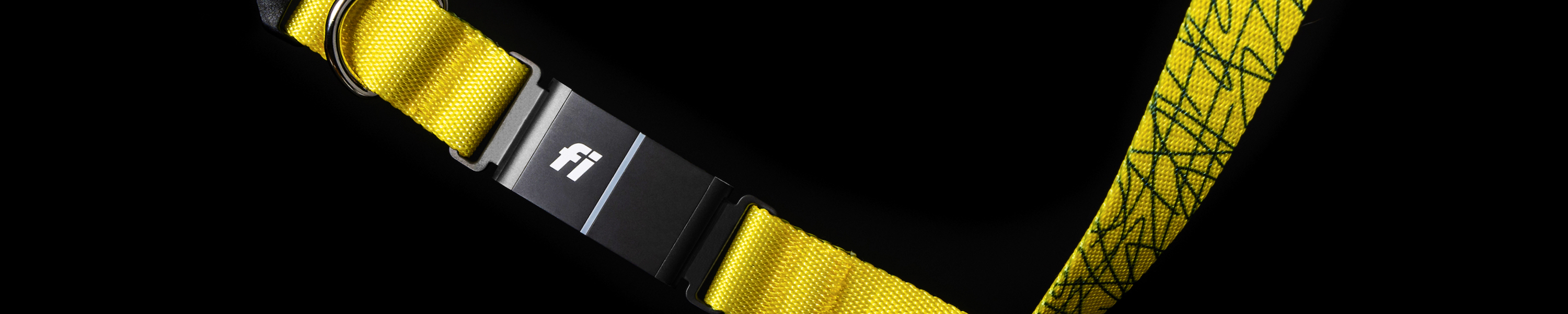 Fi Smart Collar