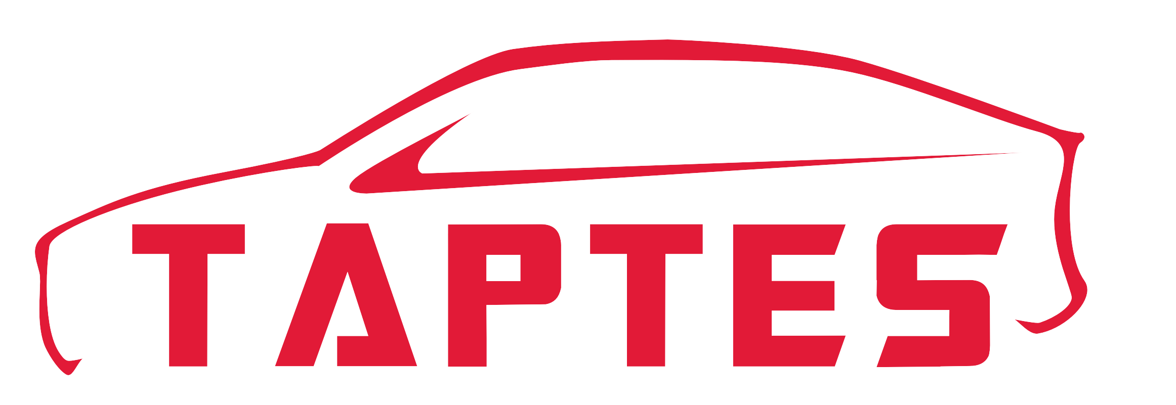 Amazon.ca TAPTES Tesla Model 3