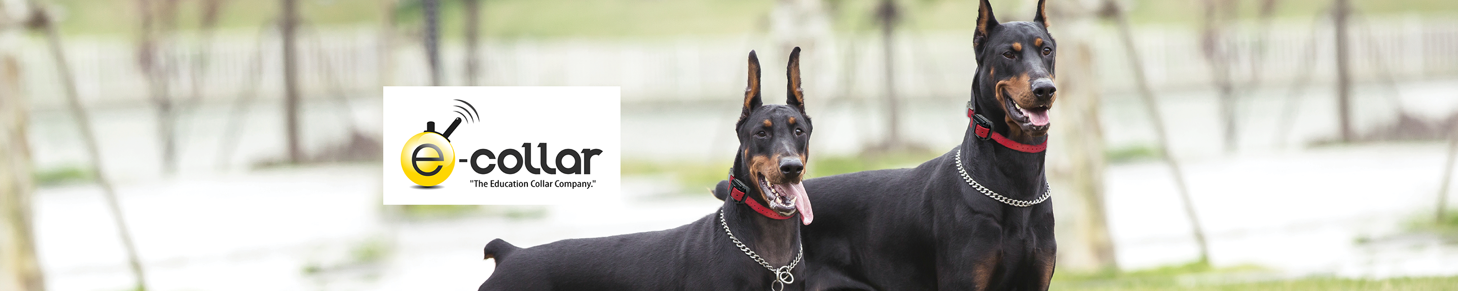 ECollar Educator Collars