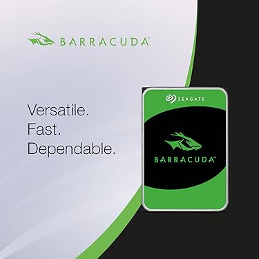 Amazon.ca: Seagate: IronWolf (NAS)