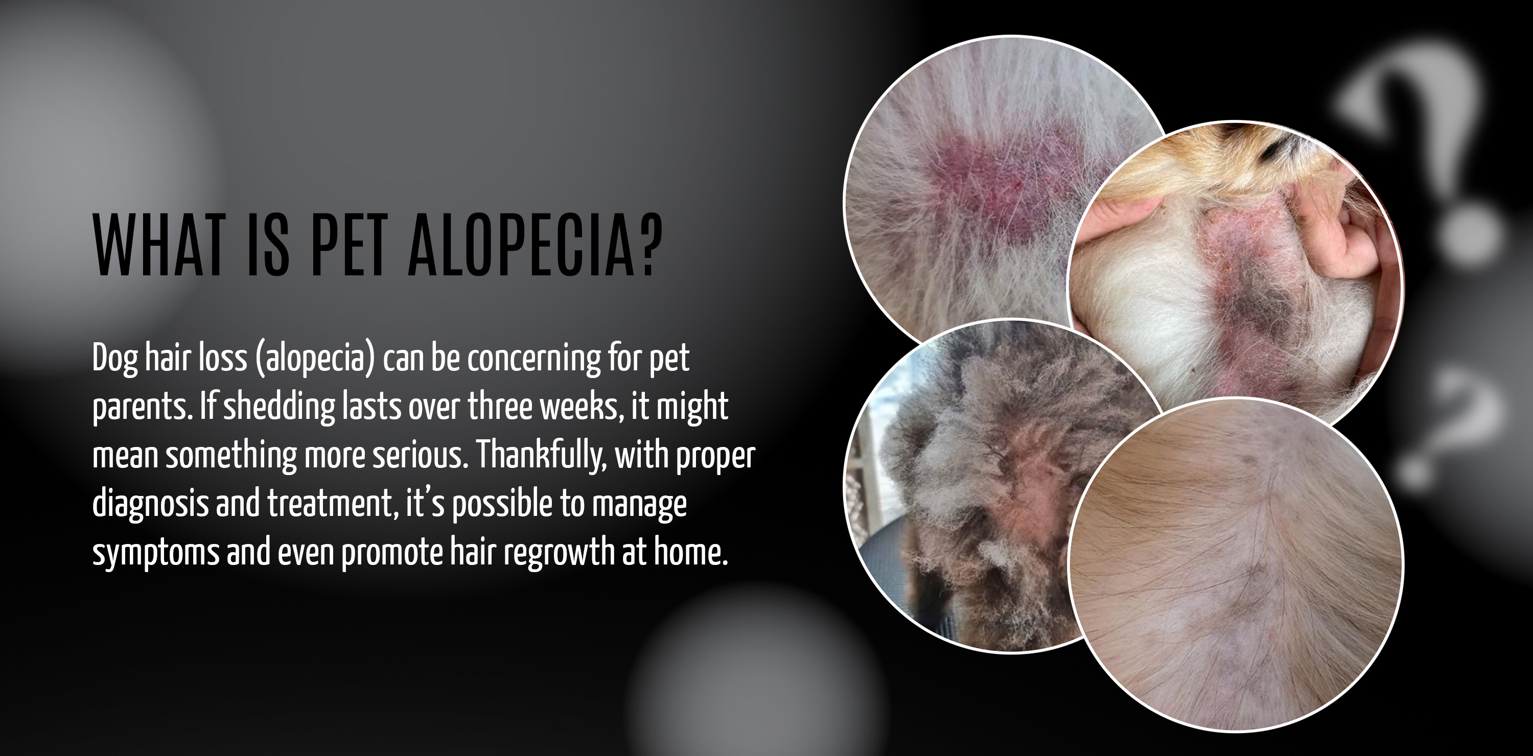Tauro Pro line Alopecia