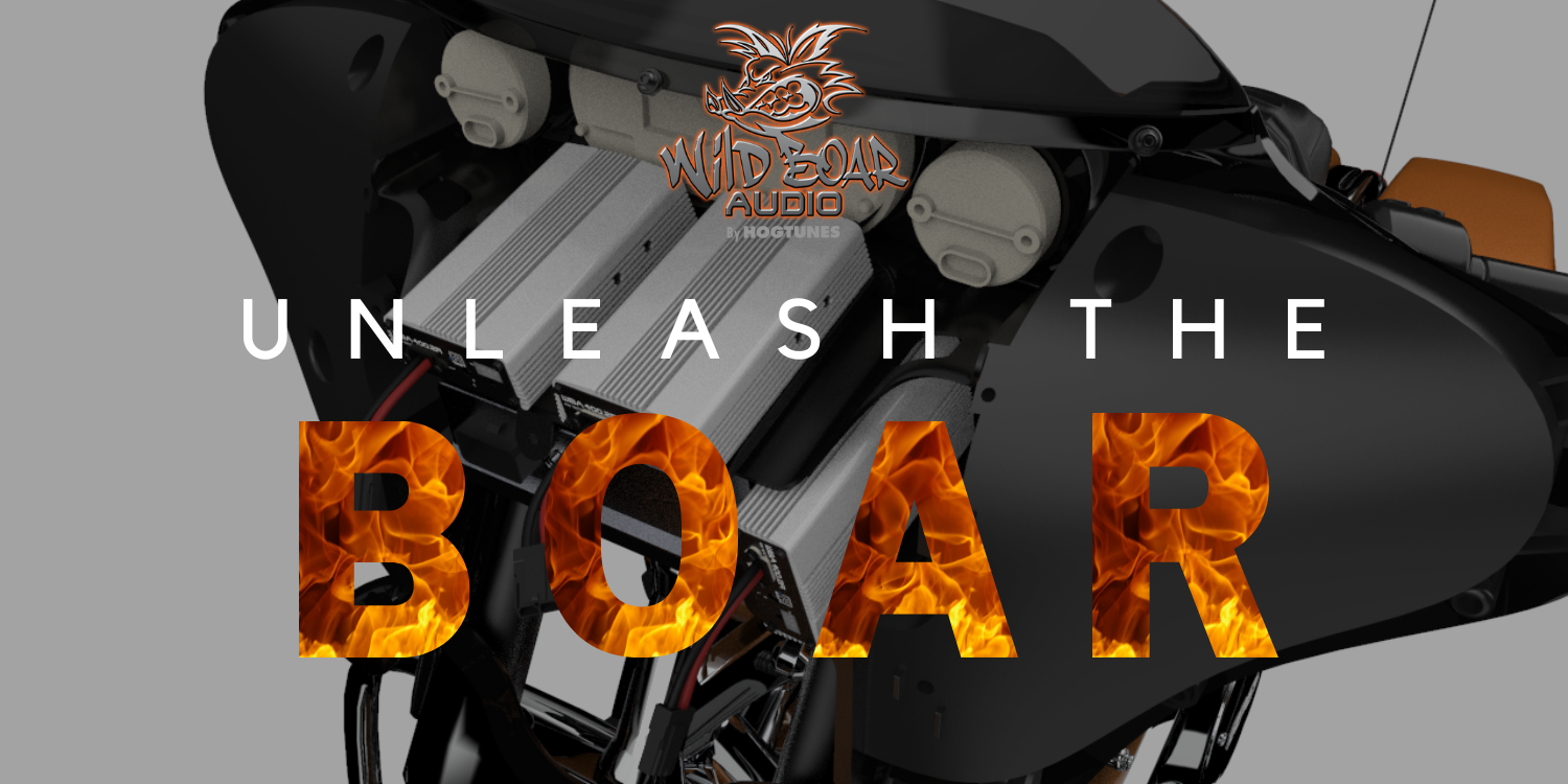 mpblures wild boar SR④ Retired Boars – Southern Gold Sires