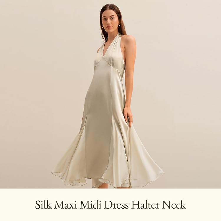 Amazon.com: LILYSILK LLC: Women Dress