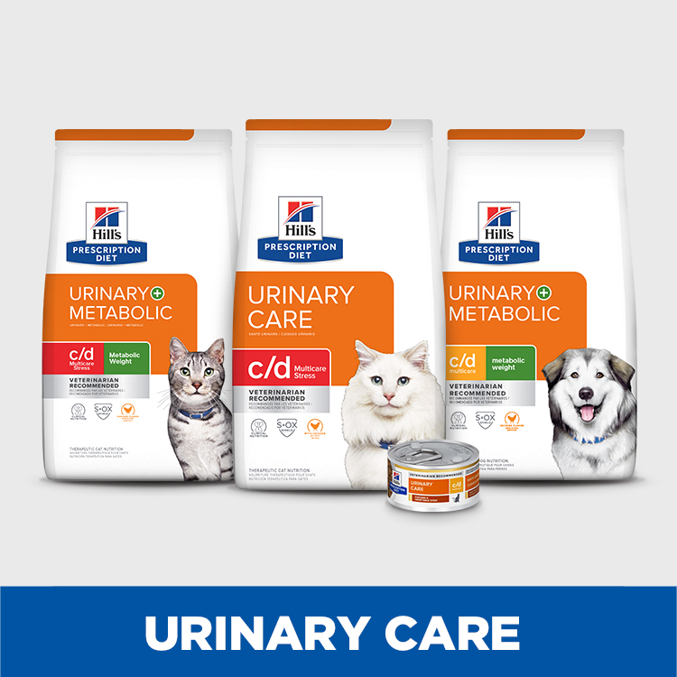 Hill's Prescription Diet