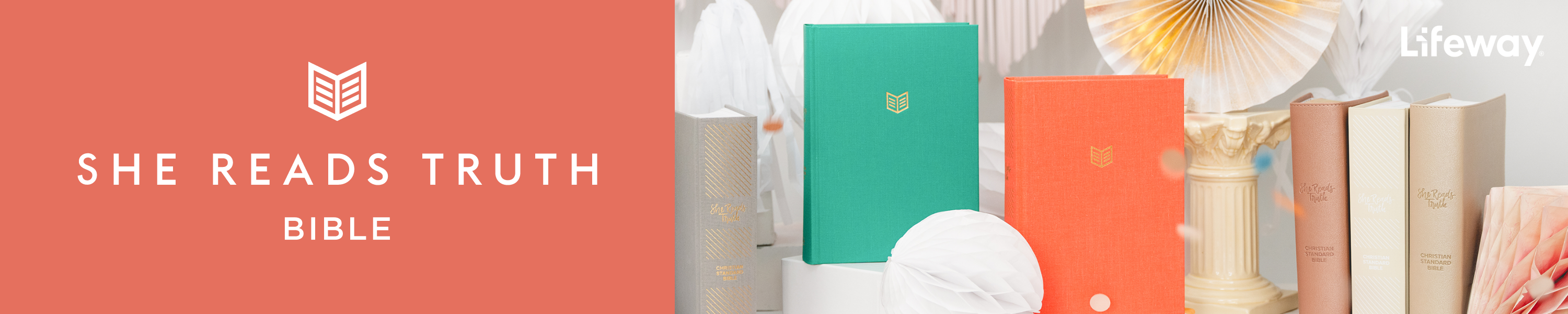 Amazon.ca Lifeway She Reads Truth Bible