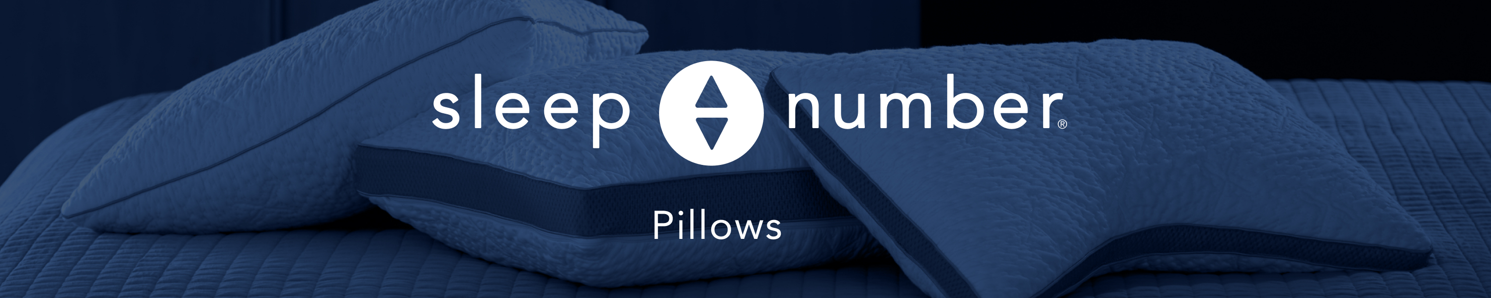 Sleep Number Pillows