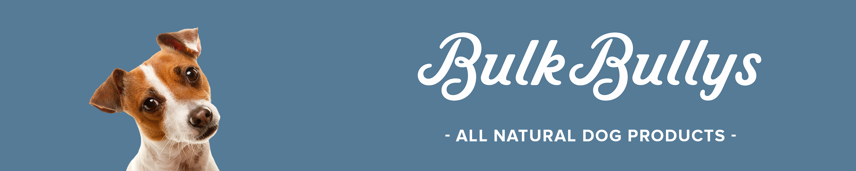 Amazon.ca Bulk Bullys