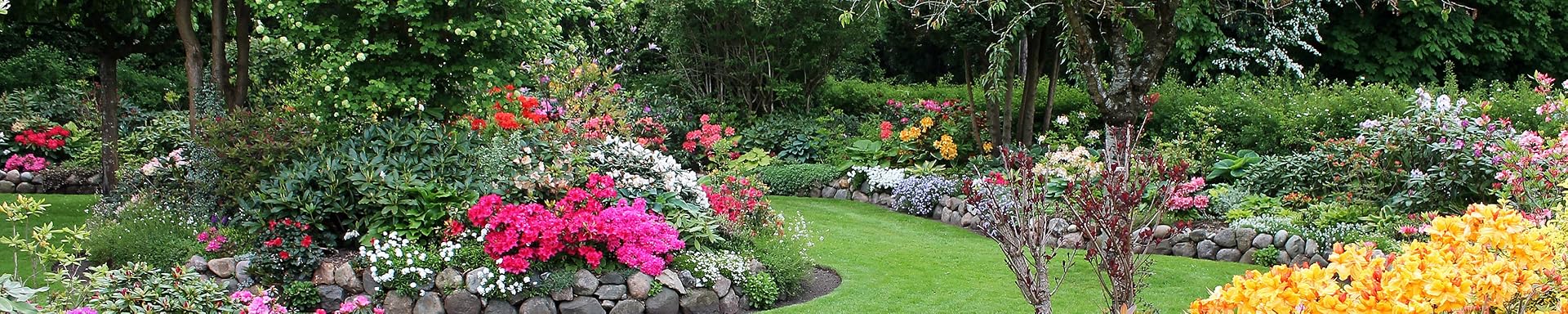 Amazon com: Wonderful Decoration for Garden Patio Home