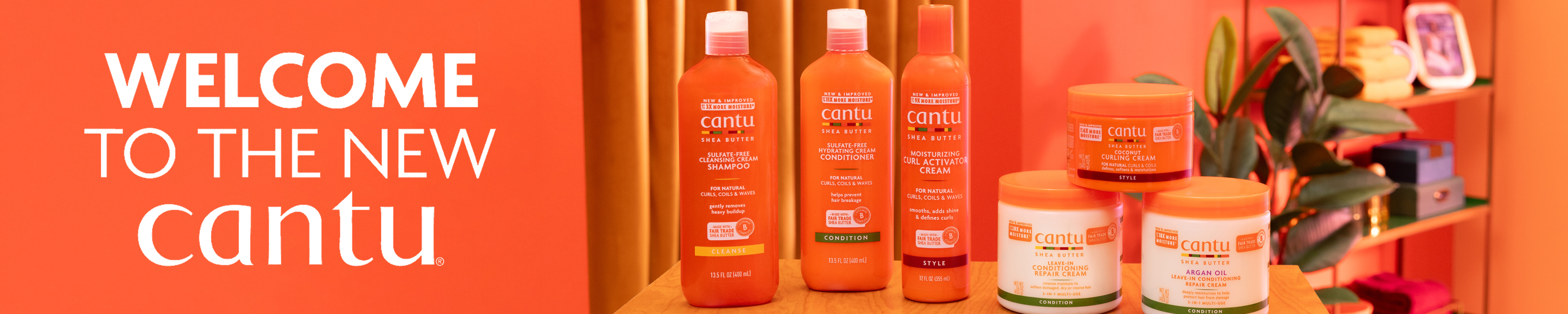 Amazon.com: Cantu