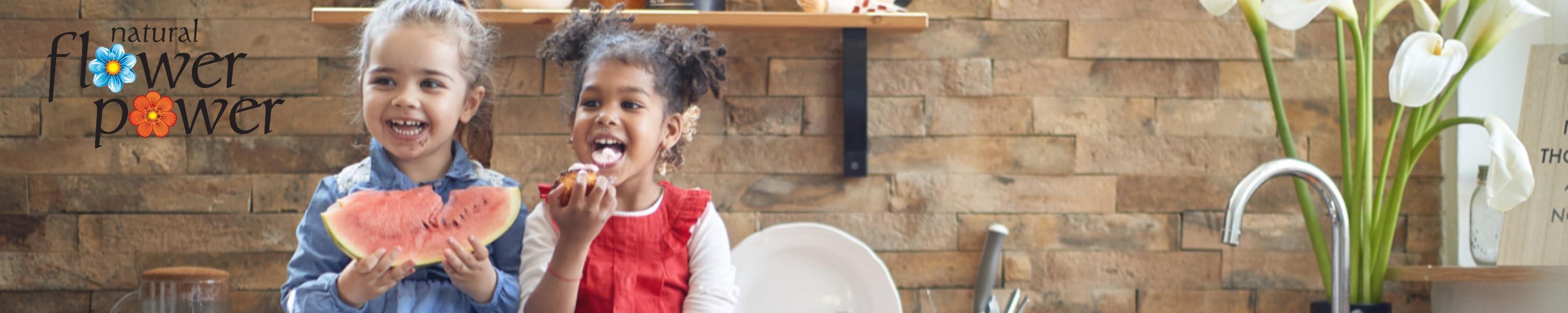 Natural Flower Power Dish Soap Refills