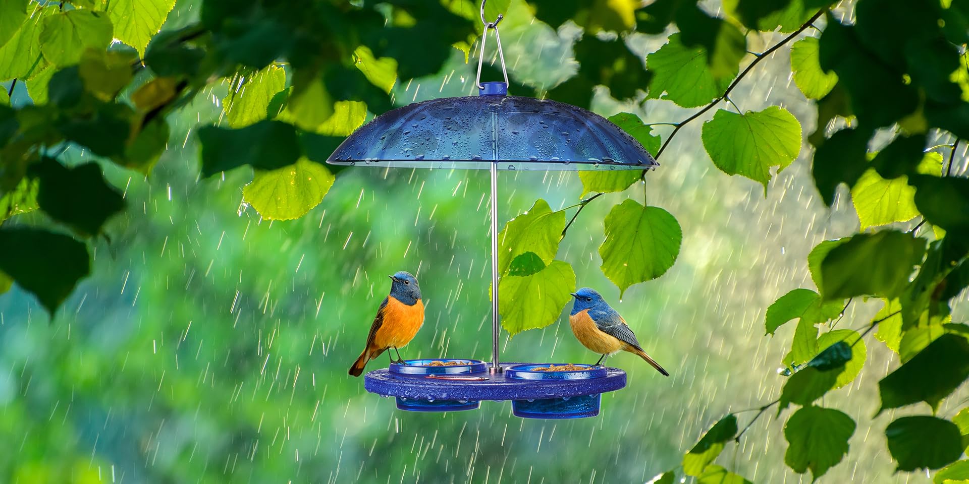 Kingsyard Bluebird Feeder