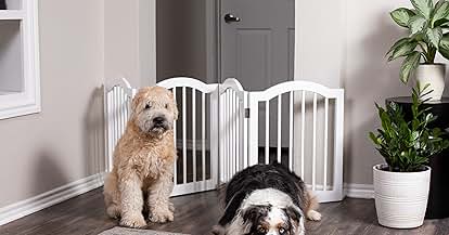 Amazon.com : unipaws 44