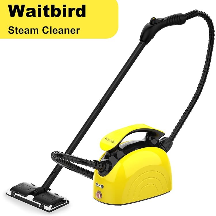 Amazon.ca: Waitbird