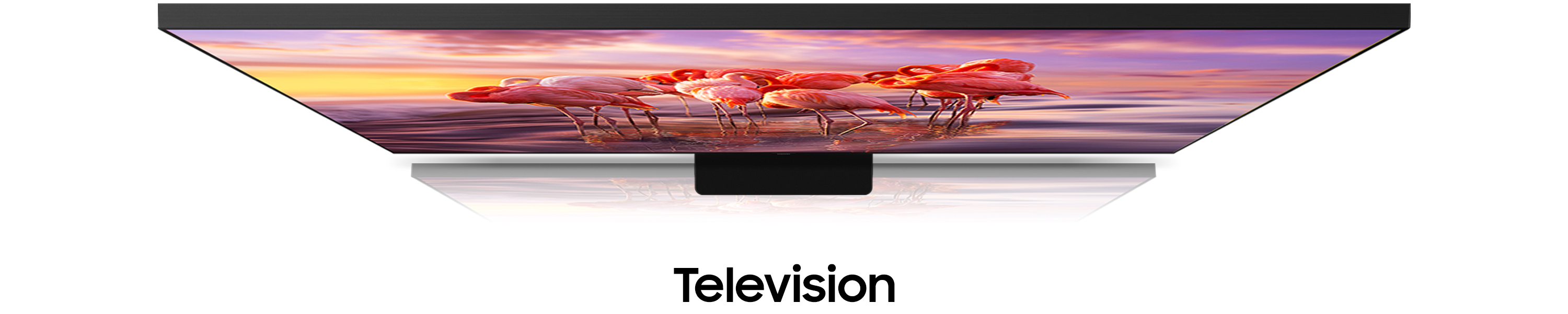 Amazon.ca Samsung Television