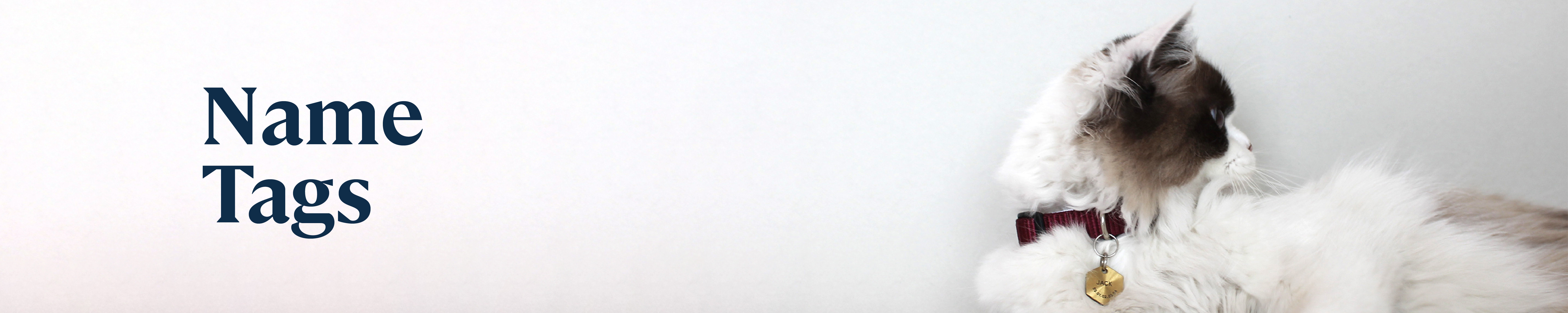 Accesories for you and your pet. Name Tags