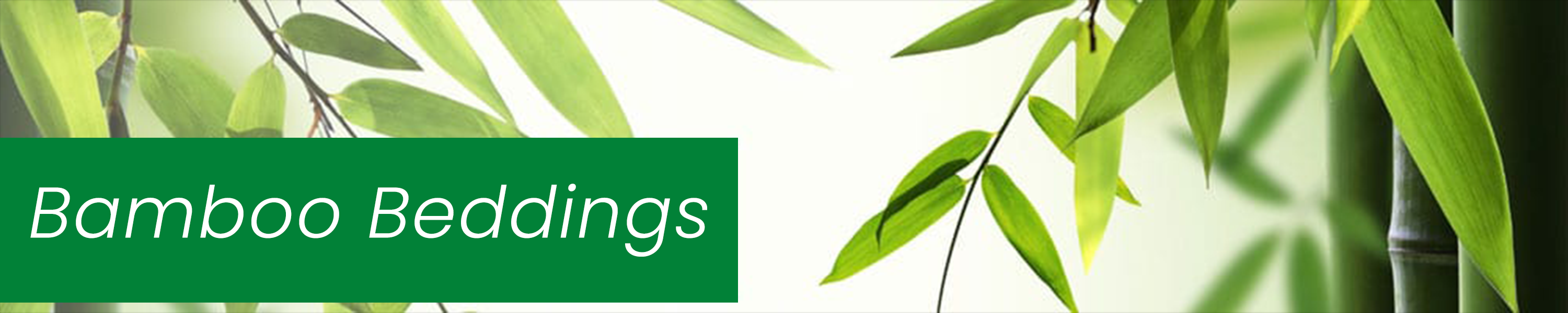 Amazon.ca Linenwalas Bamboo Beddings