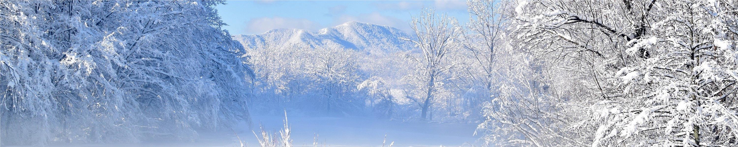 AmyHomie COOLEST BLANKET