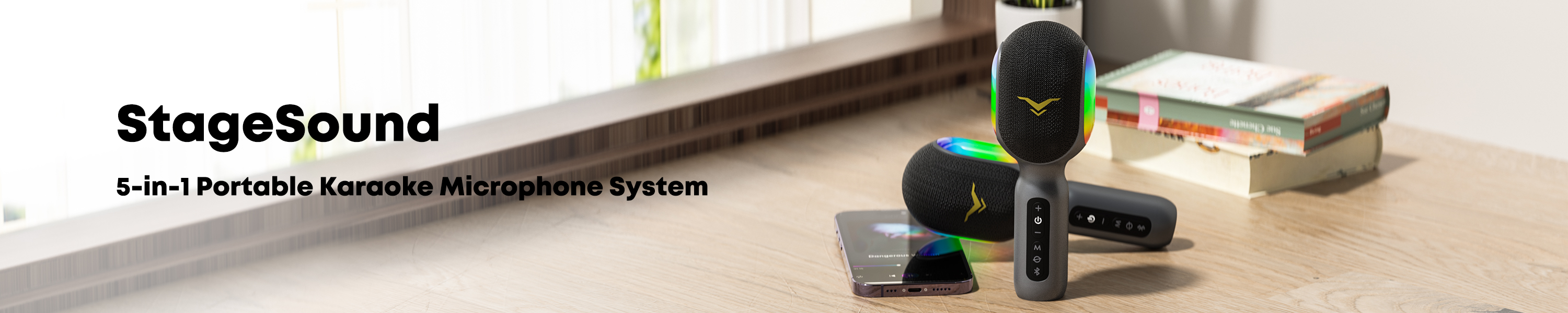 Amazon.ca StageSound Karaoke Mic