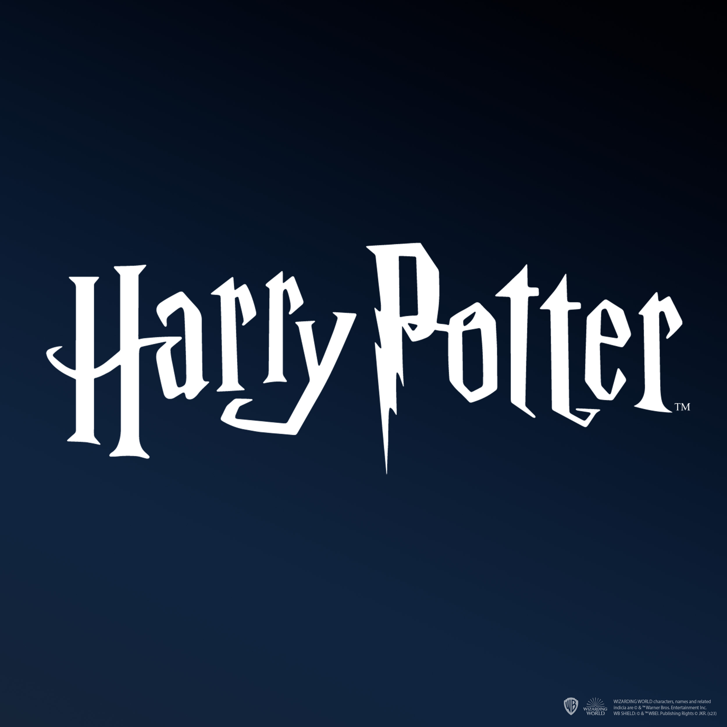 Harry Potter ディオラマ HARRY POTTER - HOGWARTS Blu-Ray Display, Book Nook, 3d