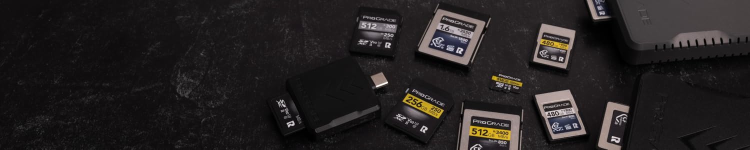 SDリーダー PROGRESS IN ENGLISH 付属教材2種 Dual-Slot SD Memory Card Reader | ProGrade Digital