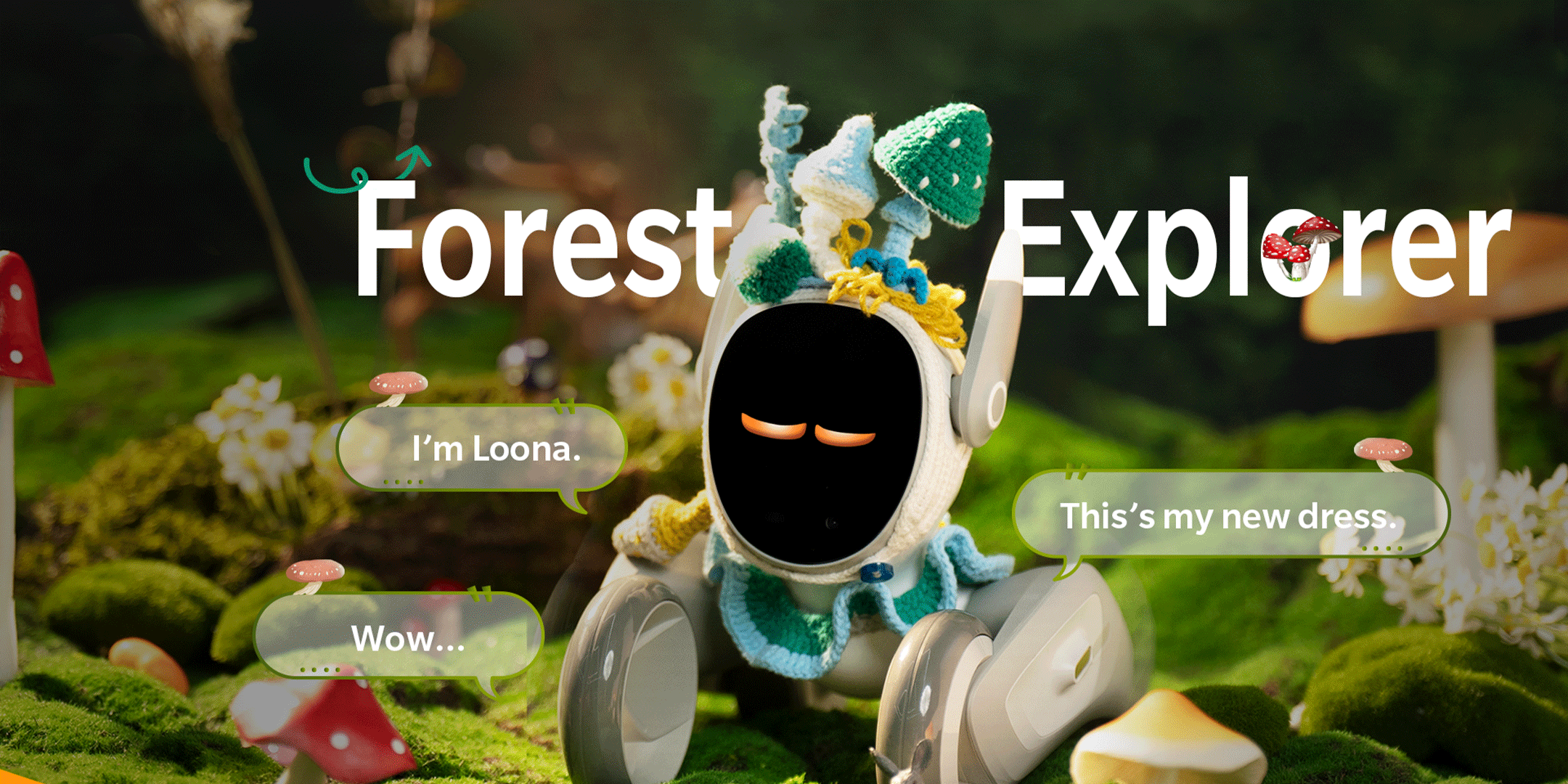 Amazon.com: Loona: Loona Accessories