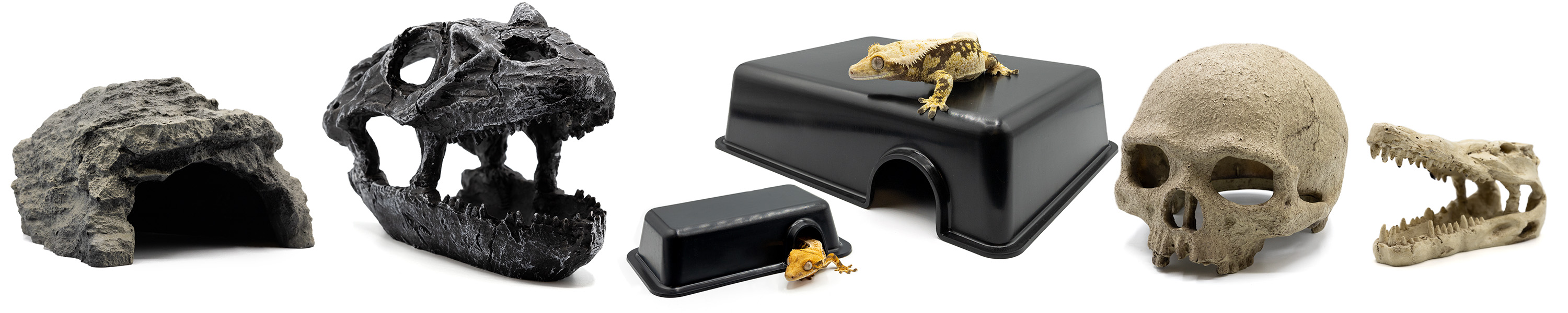 Pangea Reptile Caves and Hides