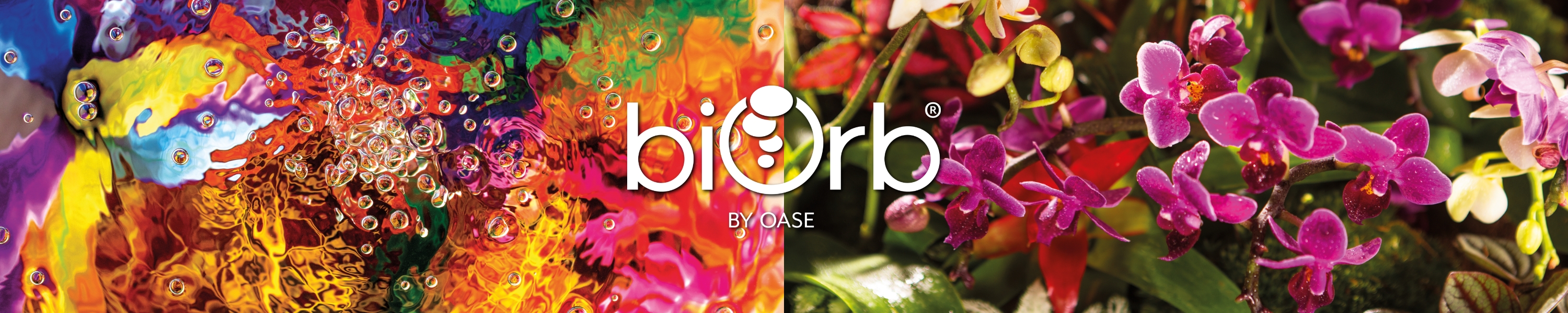 Amazon.com: biOrb