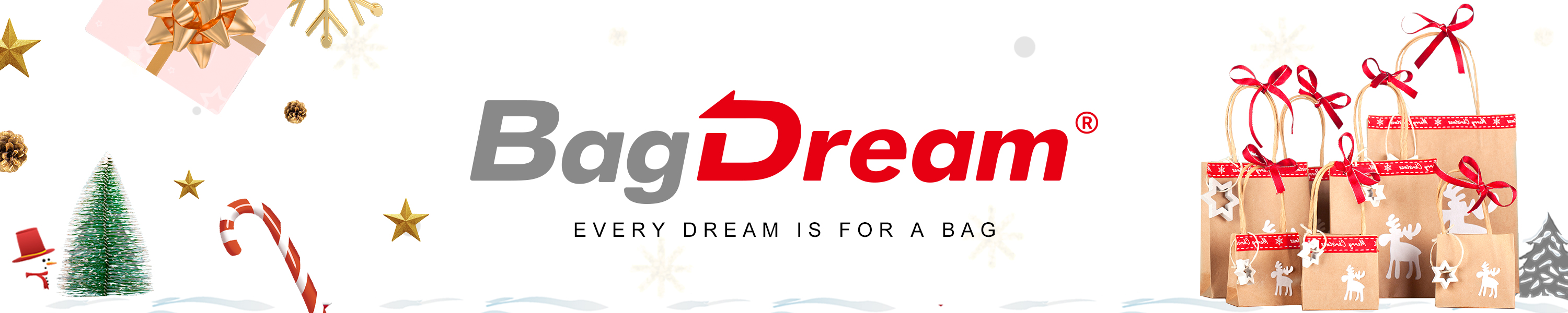 Amazon.ca Home Small Gift Bags