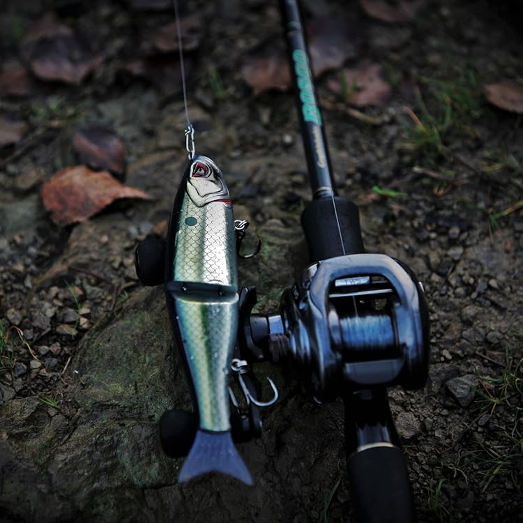 Amazon.com: Bassdash: BASS FISHING