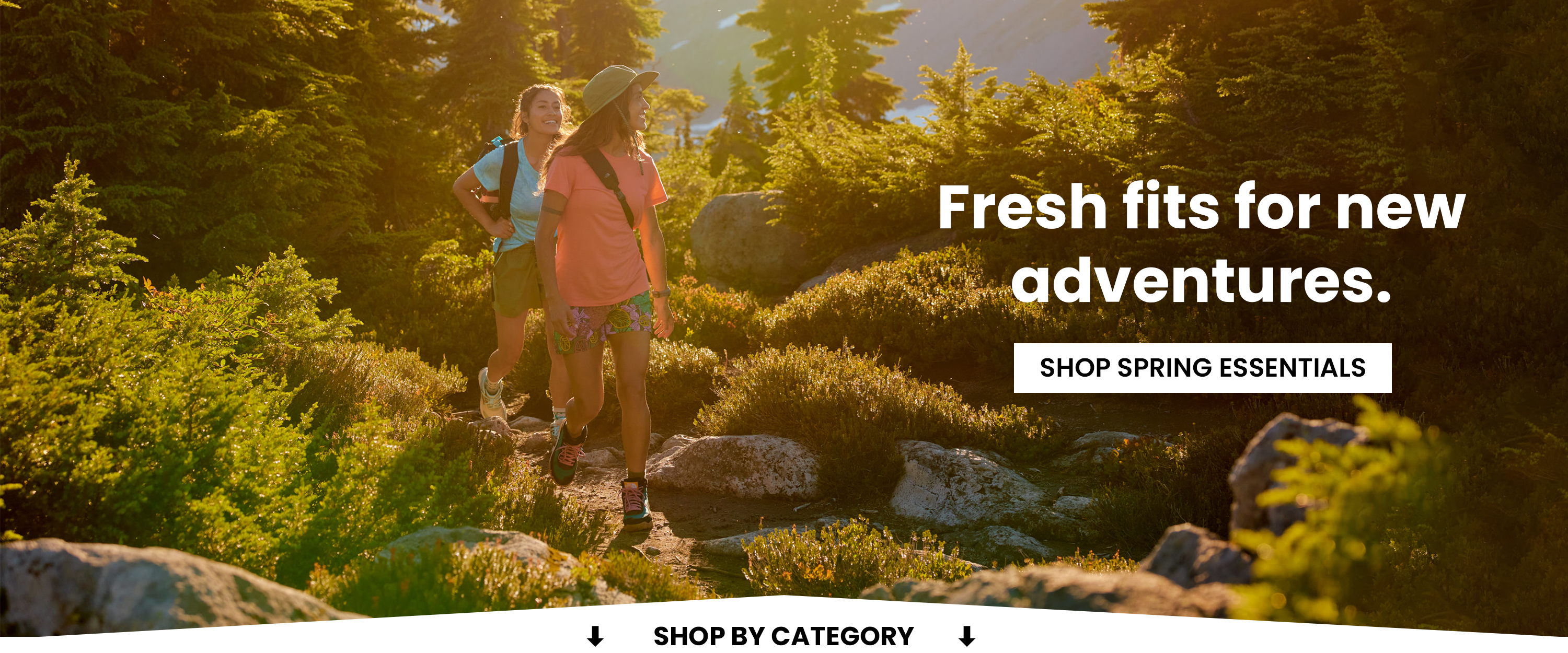 Amazon.com: Smartwool