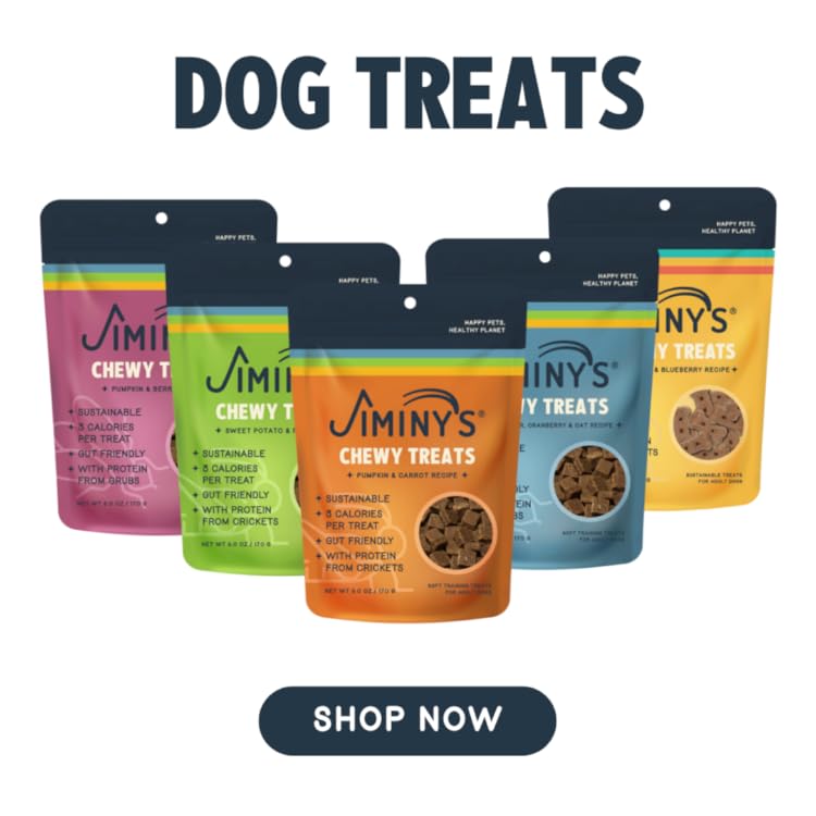 Amazon.com: Jiminy's