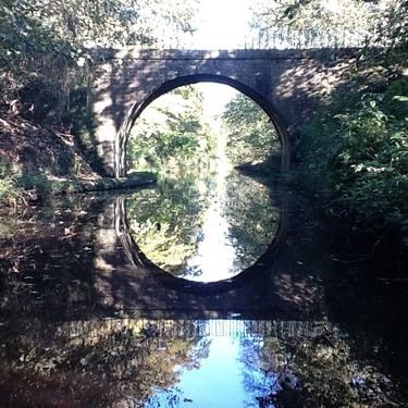 その他 2LP Various Bunny Lee Rocksteady Years MOLLSELEKTA13 Moll-Selekta Germany Vinyl /00660 Various – The Bunny Lee Rocksteady Years | Releases | Discogs