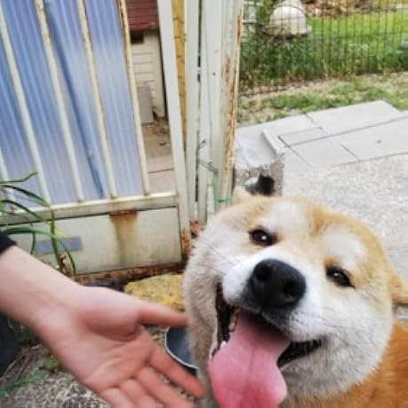 Amazon | [フリーズテック] 氷撃 半袖 クルーネックインナー