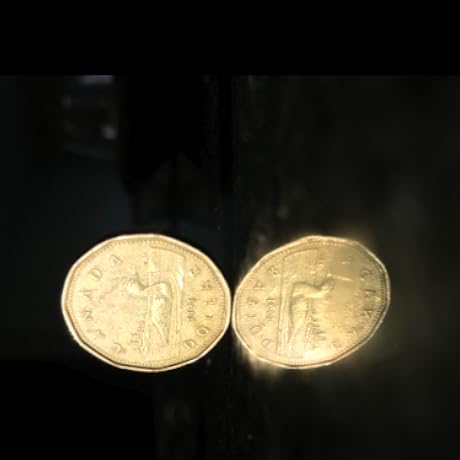 Amazon | リジッド ダブルカッタ(50mm) T‐411 92510 | 便座・便器