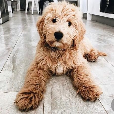 Product Review Avatar